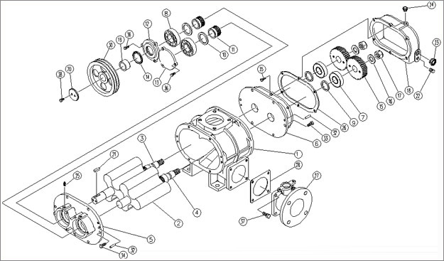 羅茨鼓風(fēng)機(jī)結(jié)構(gòu)圖.jpg 羅茨鼓風(fēng)機(jī)結(jié)構(gòu)圖