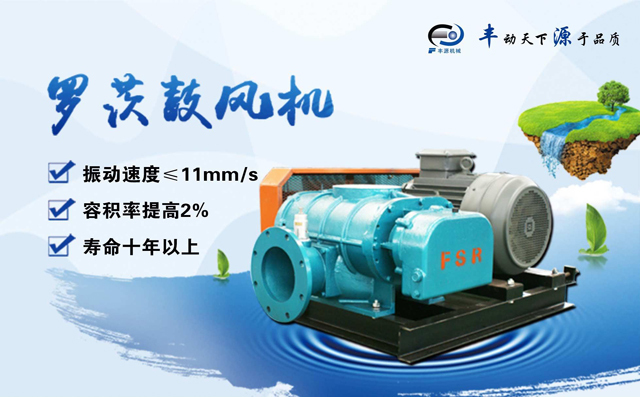 豐源機械三葉羅茨風(fēng)機產(chǎn)品展示