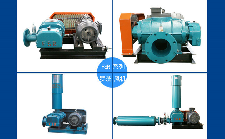 豐源羅茨風(fēng)機(jī) 豐源羅茨風(fēng)機(jī)