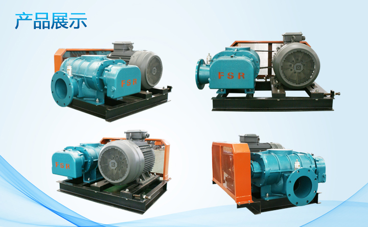 羅茨鼓風(fēng)機 羅茨鼓風(fēng)機