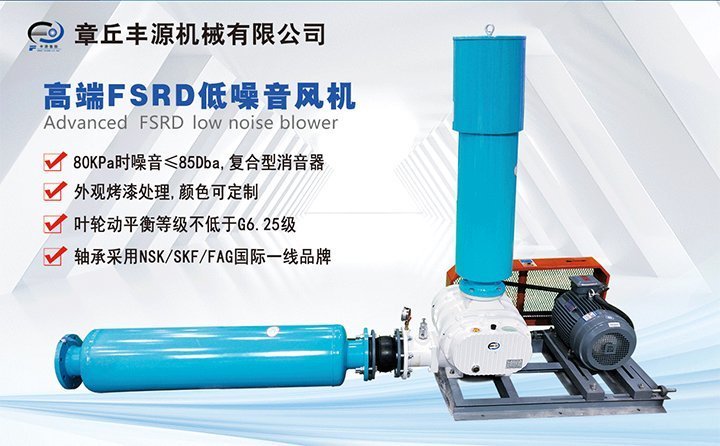 羅茨鼓風(fēng)機 羅茨鼓風(fēng)機